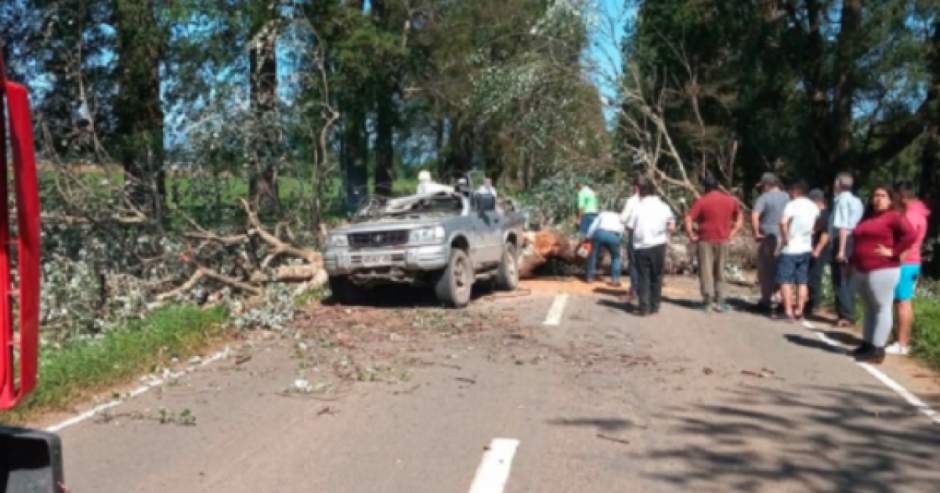 Vehículo involucrado en el accidente. (Imagen: Diariofrutono.cl)