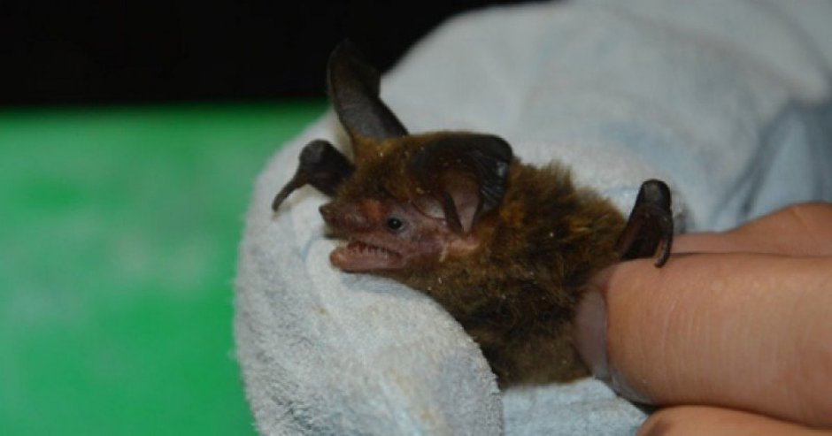 Imagen: referencial.